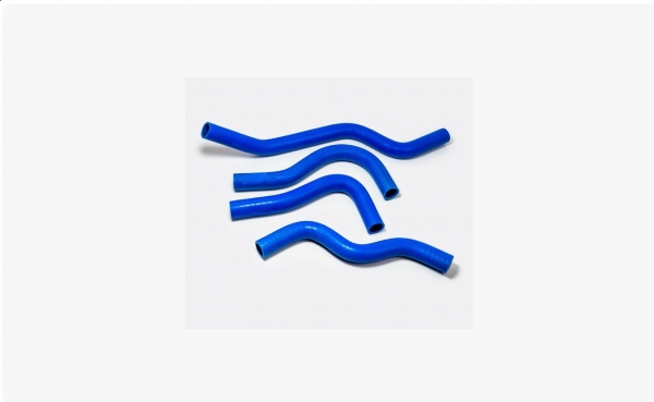 : 330281200323460 0034829  -3302 .-406   4.  (, ,,,,, , NEXT, NEXT) 